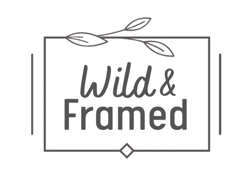 Wild & Framed 
